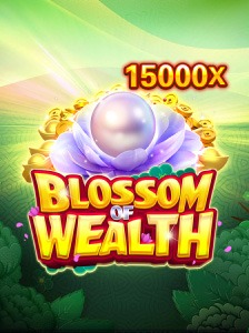 Slots 85e: Top 5 com RTP, Estratégia e Free Spins ☘️